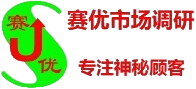 沈阳调研公司